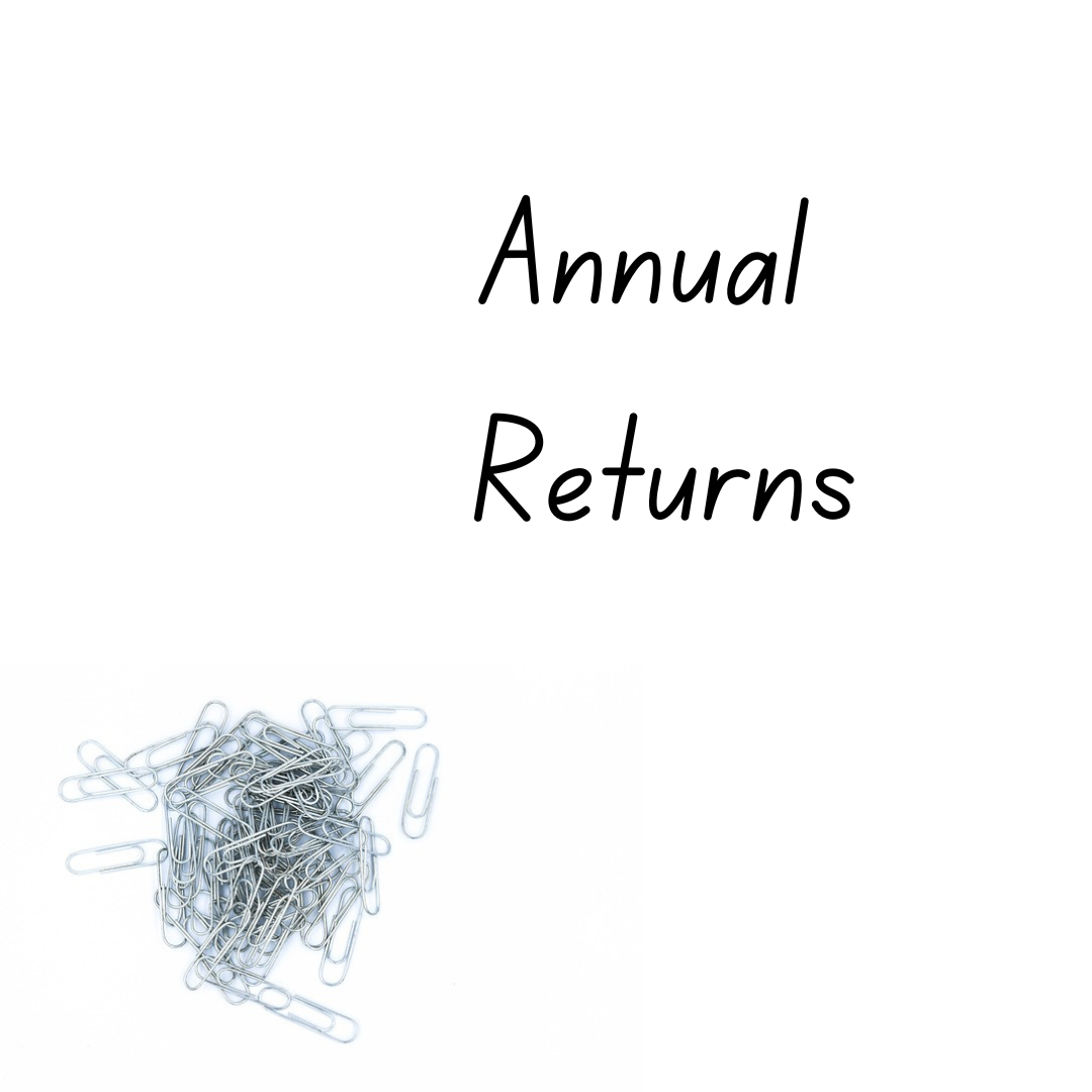 Annual Returns